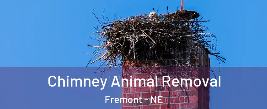  Chimney Animal Removal Fremont - NE