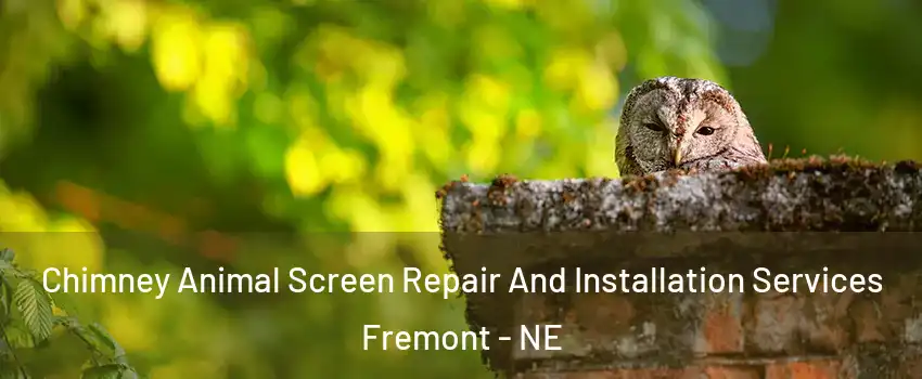  Chimney Animal Screen Repair And Installation Services Fremont - NE