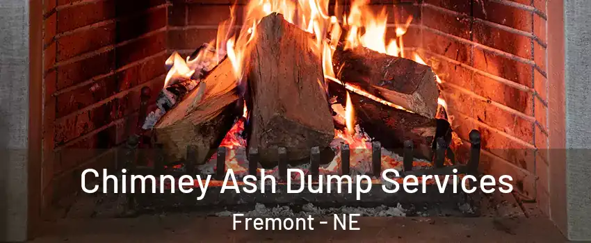  Chimney Ash Dump Services Fremont - NE