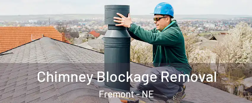  Chimney Blockage Removal Fremont - NE