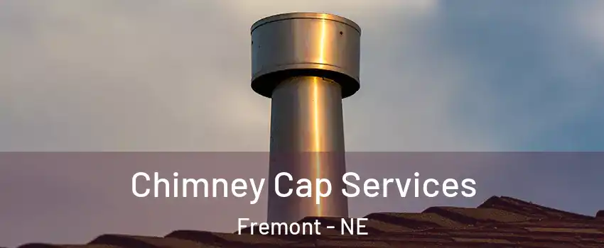  Chimney Cap Services Fremont - NE