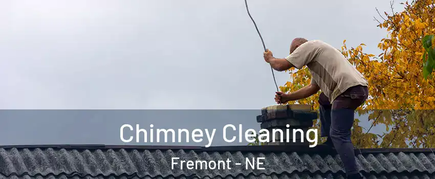  Chimney Cleaning Fremont - NE