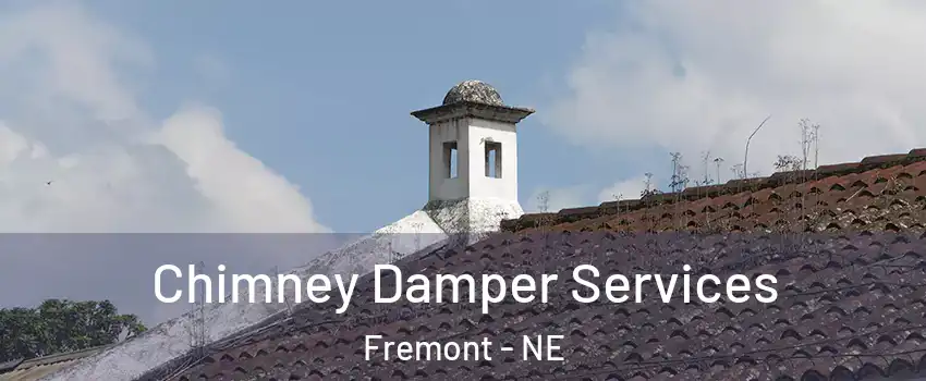  Chimney Damper Services Fremont - NE