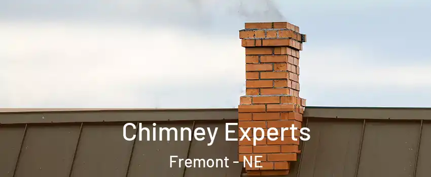  Chimney Experts Fremont - NE