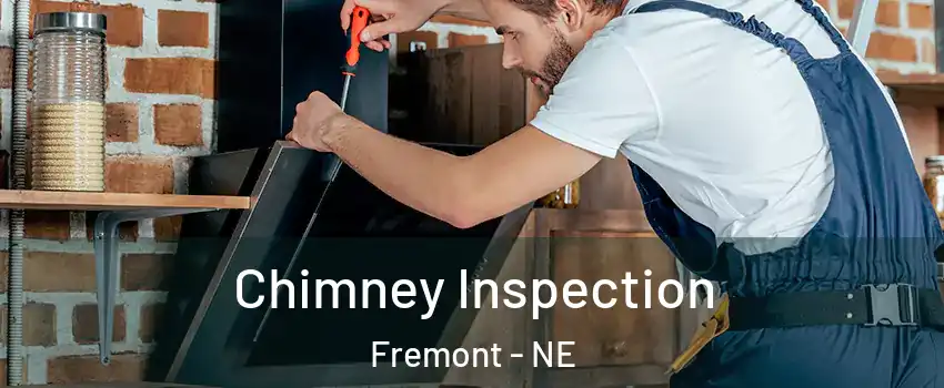  Chimney Inspection Fremont - NE