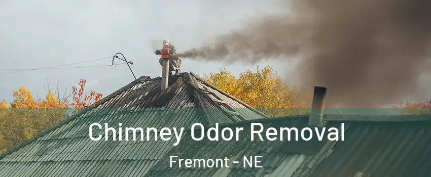  Chimney Odor Removal Fremont - NE