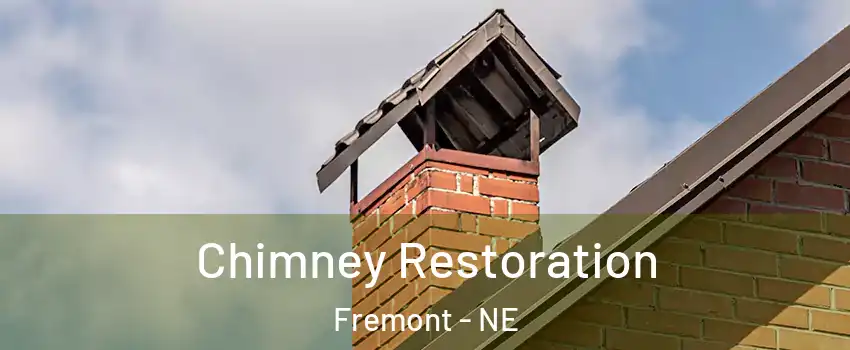  Chimney Restoration Fremont - NE