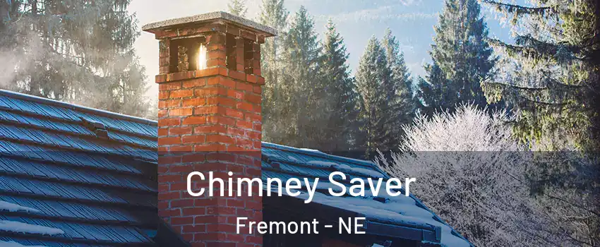  Chimney Saver Fremont - NE