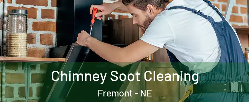  Chimney Soot Cleaning Fremont - NE