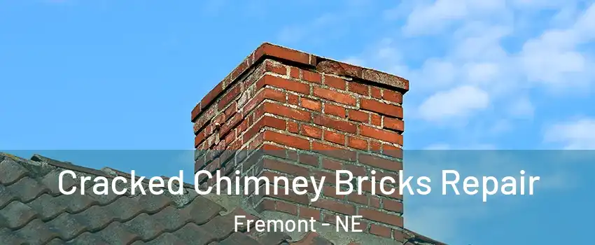  Cracked Chimney Bricks Repair Fremont - NE