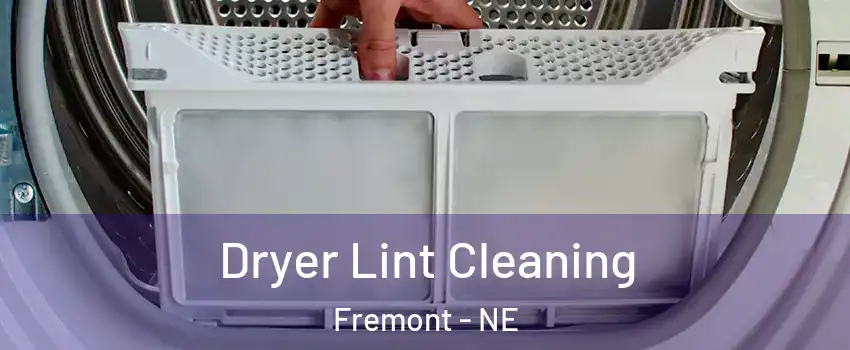  Dryer Lint Cleaning Fremont - NE