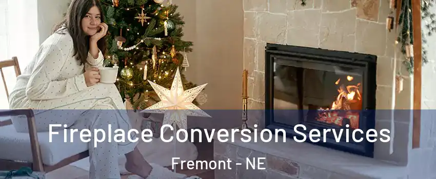  Fireplace Conversion Services Fremont - NE