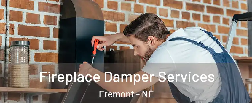  Fireplace Damper Services Fremont - NE