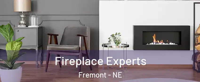  Fireplace Experts Fremont - NE