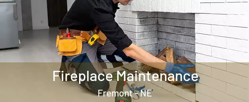  Fireplace Maintenance Fremont - NE