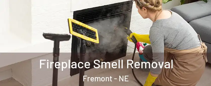  Fireplace Smell Removal Fremont - NE