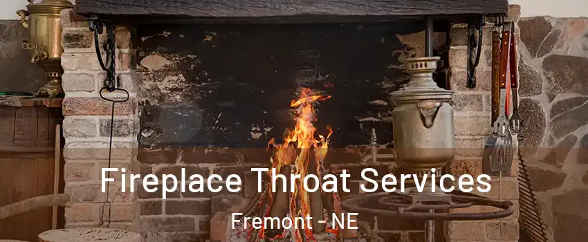  Fireplace Throat Services Fremont - NE