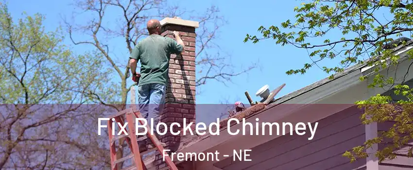  Fix Blocked Chimney Fremont - NE