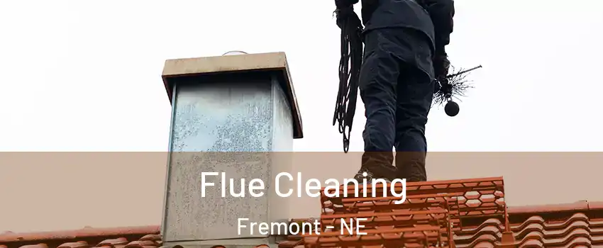  Flue Cleaning Fremont - NE