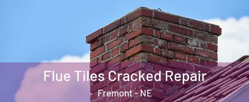  Flue Tiles Cracked Repair Fremont - NE
