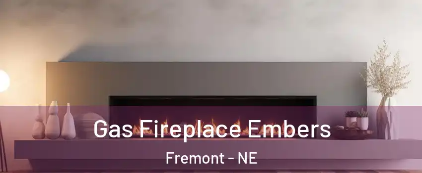  Gas Fireplace Embers Fremont - NE