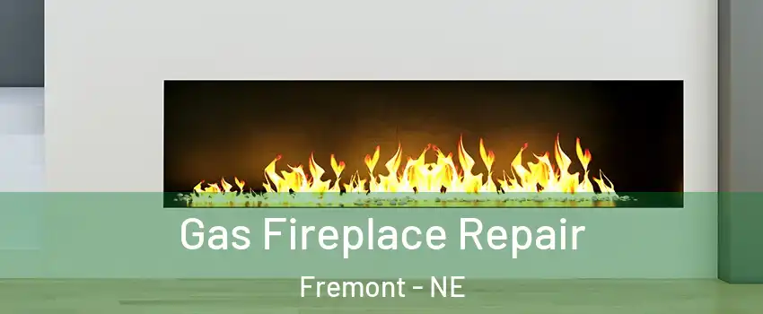  Gas Fireplace Repair Fremont - NE