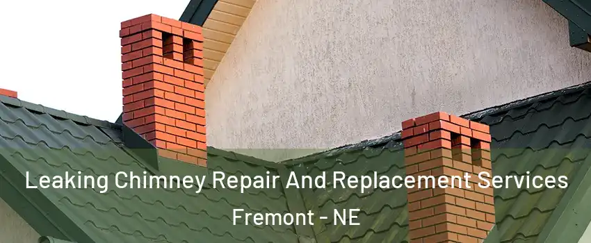  Leaking Chimney Repair And Replacement Services Fremont - NE