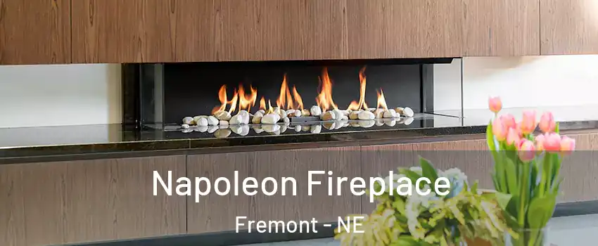  Napoleon Fireplace Fremont - NE