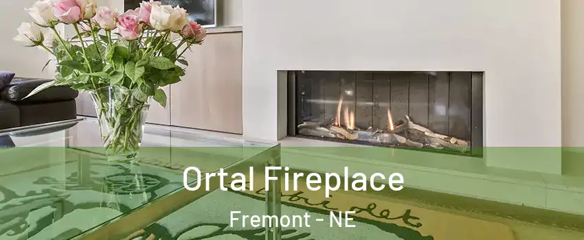  Ortal Fireplace Fremont - NE