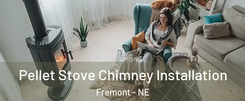  Pellet Stove Chimney Installation Fremont - NE