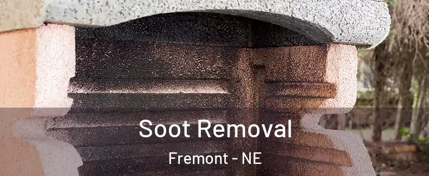  Soot Removal Fremont - NE